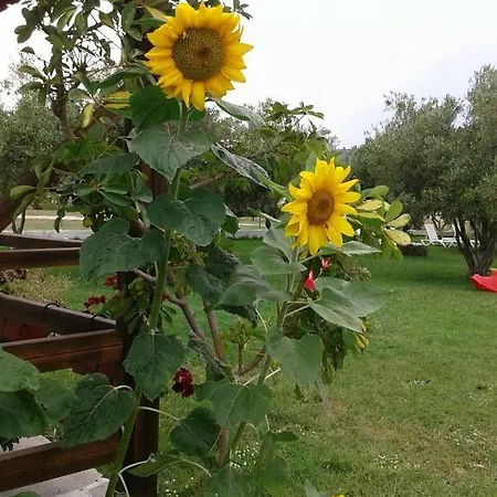 Irida Lägenhet